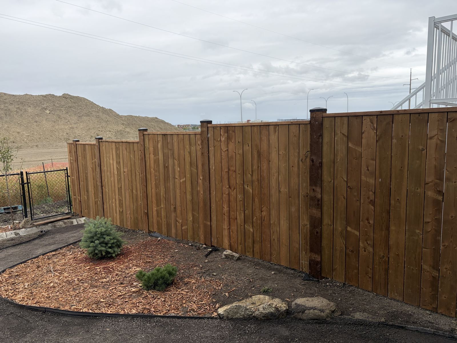New stained wood privacy fence with a mulch garden bed and evergreens