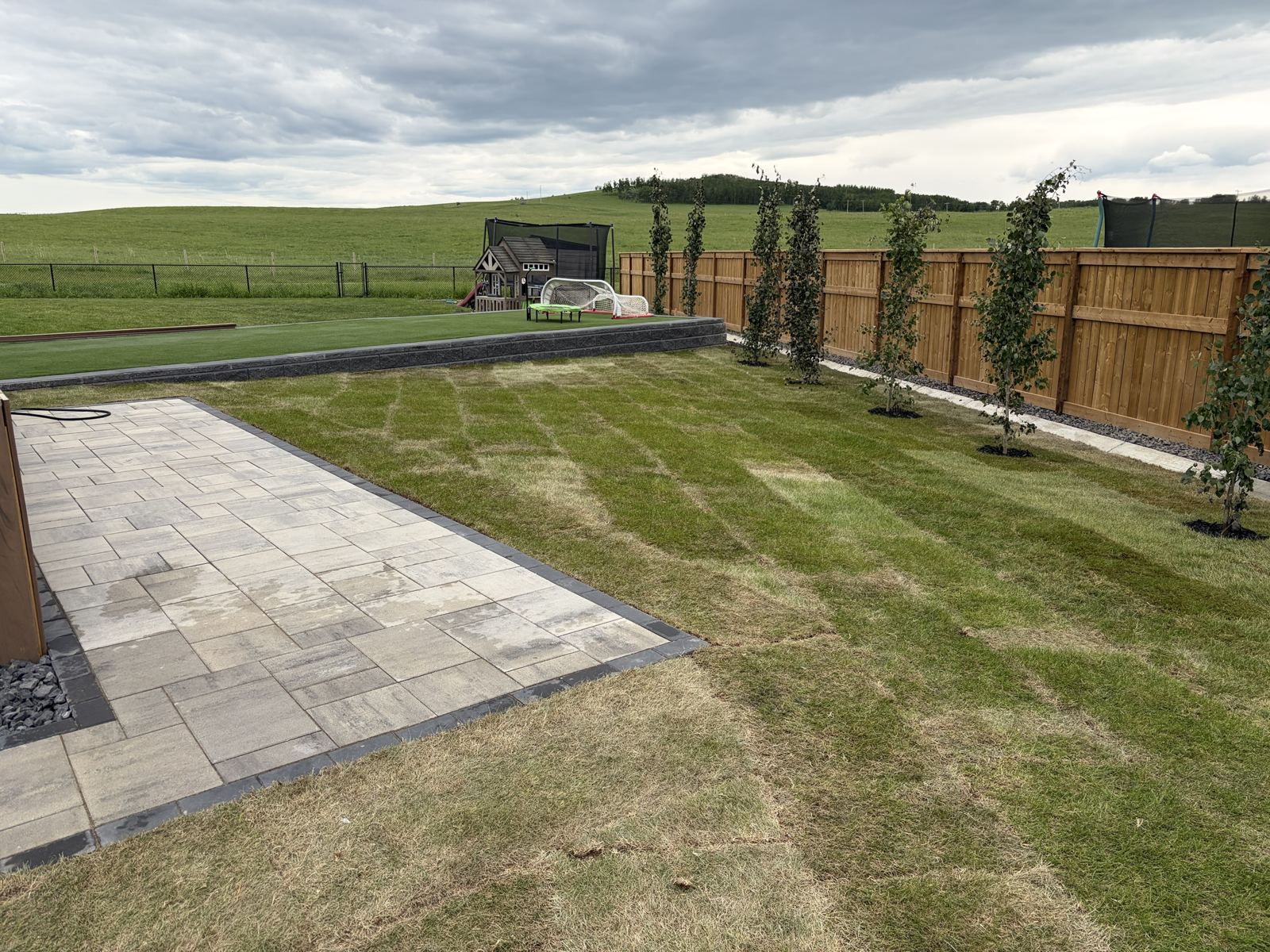 Finished backyard with a paver patio, new sod, young trees and a raised artificial turf area