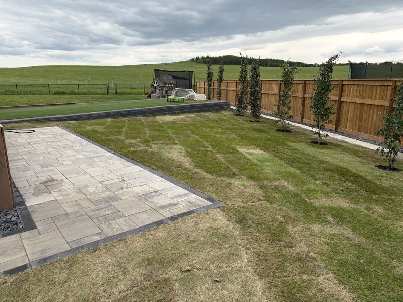 Finished backyard with a paver patio, sod, trees and a raised turf area